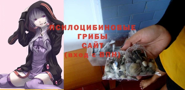 прущие грибы Лабытнанги