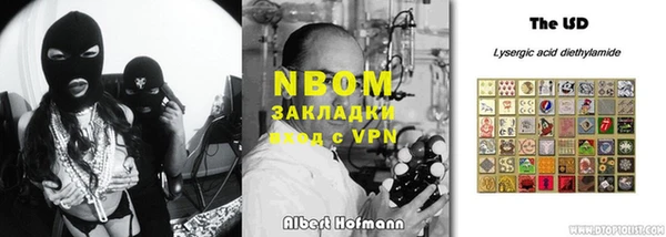 прущие грибы Лабытнанги