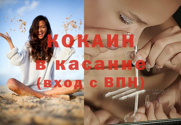 прущие грибы Лабытнанги