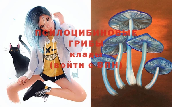 прущий лед Ладушкин