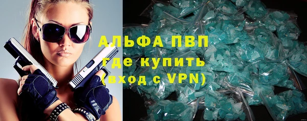 прущие грибы Лабытнанги