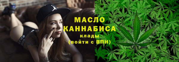 прущие грибы Лабытнанги
