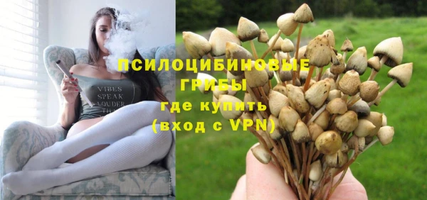 прущий лед Ладушкин