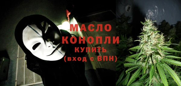 прущие грибы Лабытнанги