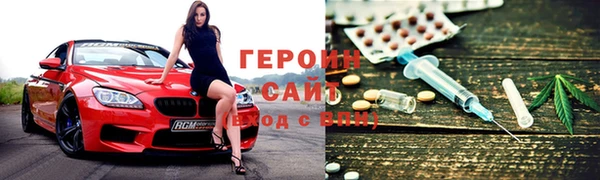 прущие грибы Лабытнанги
