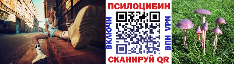 Псилоцибиновые грибы Psilocybe  МЕГА сайт  Коломна 