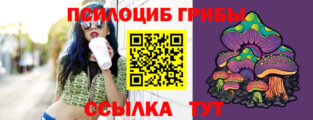 Псилоцибиновые грибы ЛСД Коломна